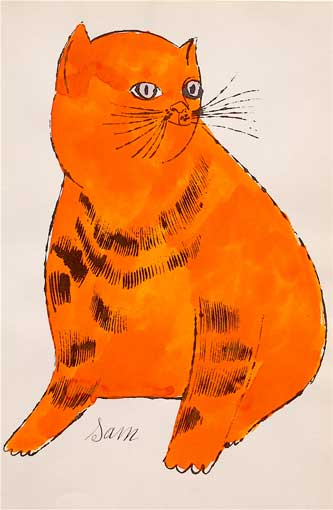 Pomarańczowy kot Sam
