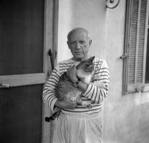 Picasso z kotem